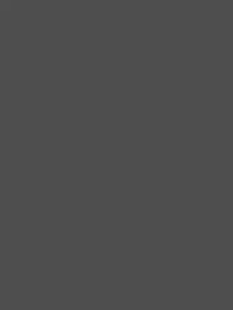 Декор Basalt Grey Suedette Matt
