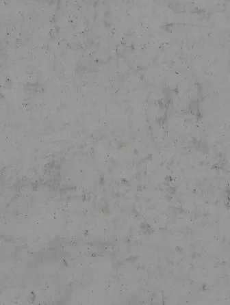 Декор Chicago Concrete 1 SC