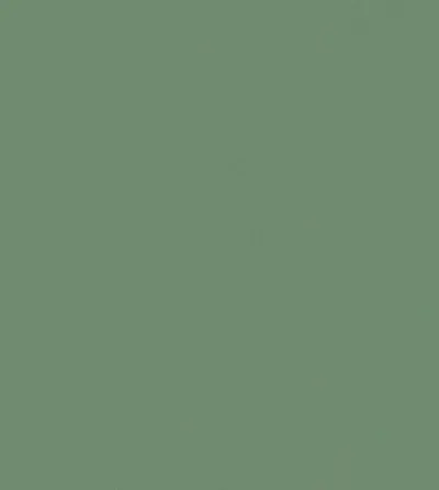 Текстура декору Fern