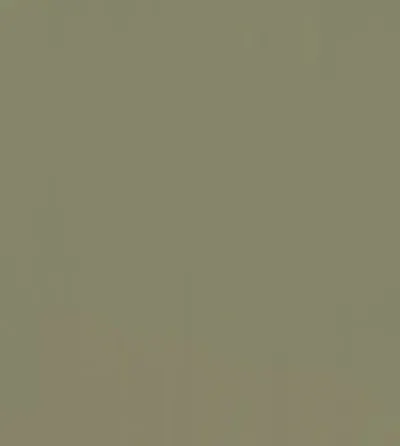 Текстура декору Lichen Green Premier Matt Protected
