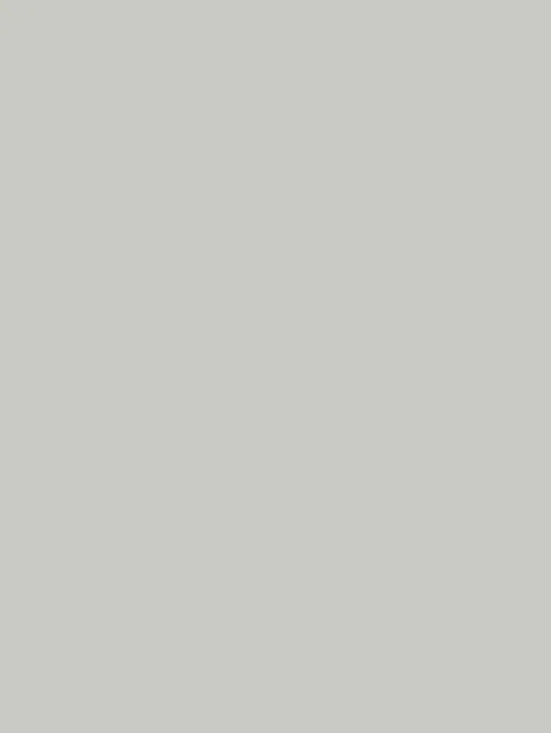 Декор Light Grey 19 Premier Matt