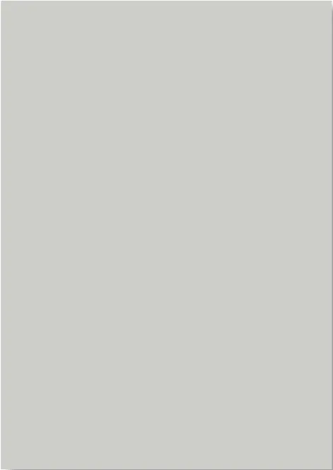Текстура декору Light Grey Suedette Matt