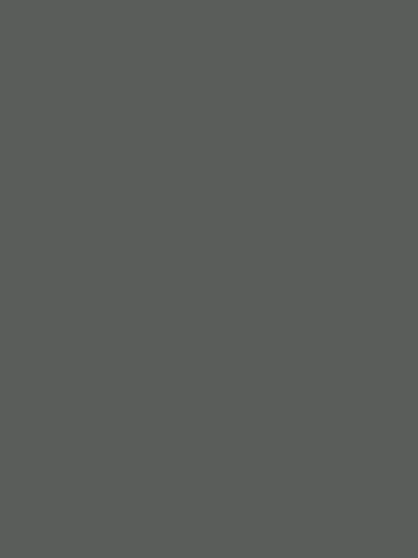 Декор Wolfram Grey Premier Matt